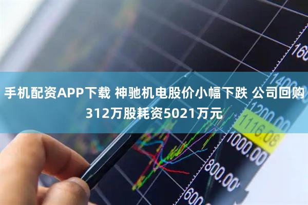 手机配资APP下载 神驰机电股价小幅下跌 公司回购312万股耗资5021万元