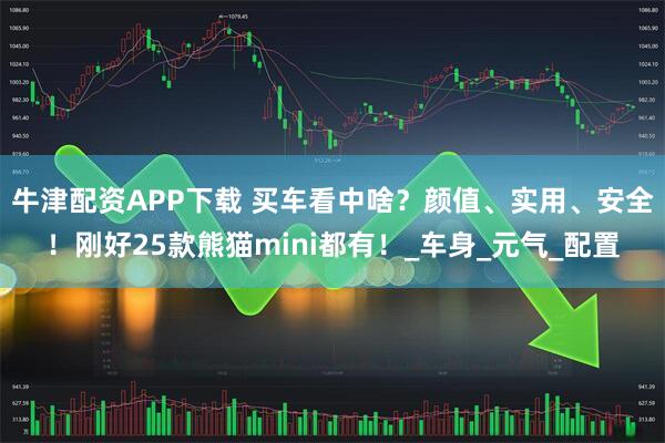 牛津配资APP下载 买车看中啥？颜值、实用、安全！刚好25款熊猫mini都有！_车身_元气_配置
