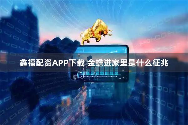 鑫福配资APP下载 金蟾进家里是什么征兆