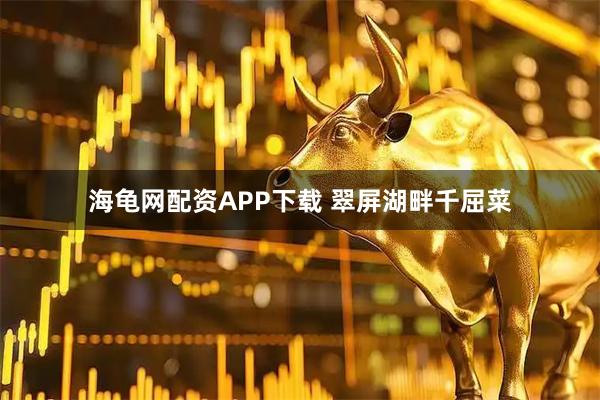 海龟网配资APP下载 翠屏湖畔千屈菜