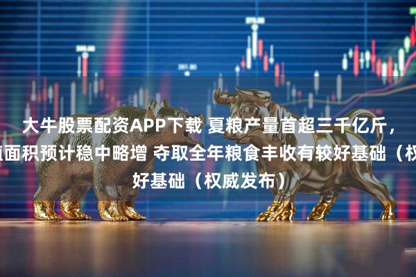 大牛股票配资APP下载 夏粮产量首超三千亿斤，秋粮种植面积预计稳中略增 夺取全年粮食丰收有较好基础（权威发布）